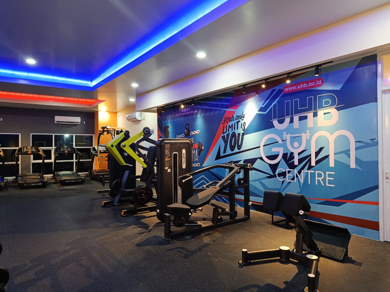 GYM 4